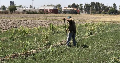Se invertirá más de 2 mdp para el campo en Coronango