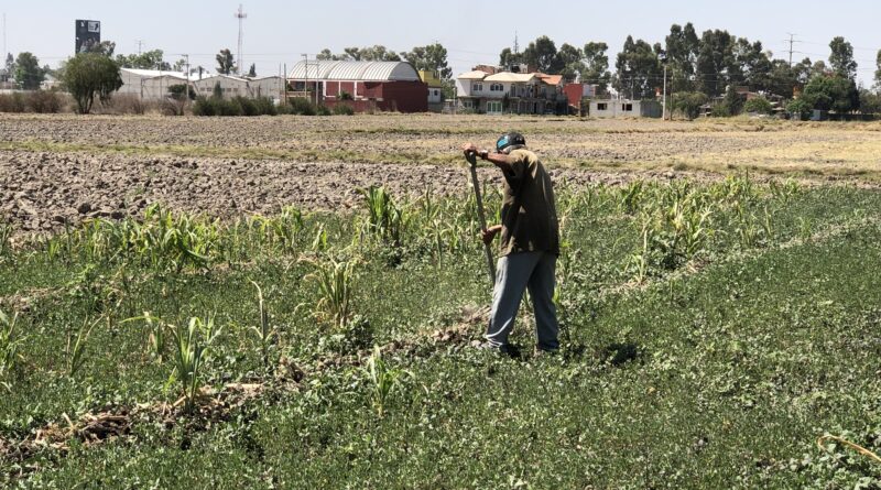 Se invertirá más de 2 mdp para el campo en Coronango