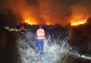 Atención inmediata evita afectaciones por incendios en el Zapotecas