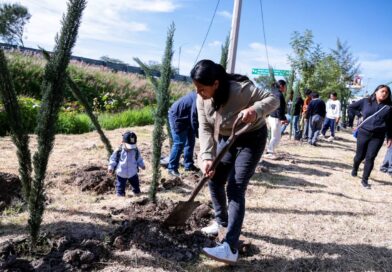 Realiza Lupita Cuautle jornada de reforestación en telesecundaria Otilio Montaño