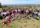 Impulsa Tonantzin Fernández acciones permanentes de reforestación en el Cerro Zapotecas