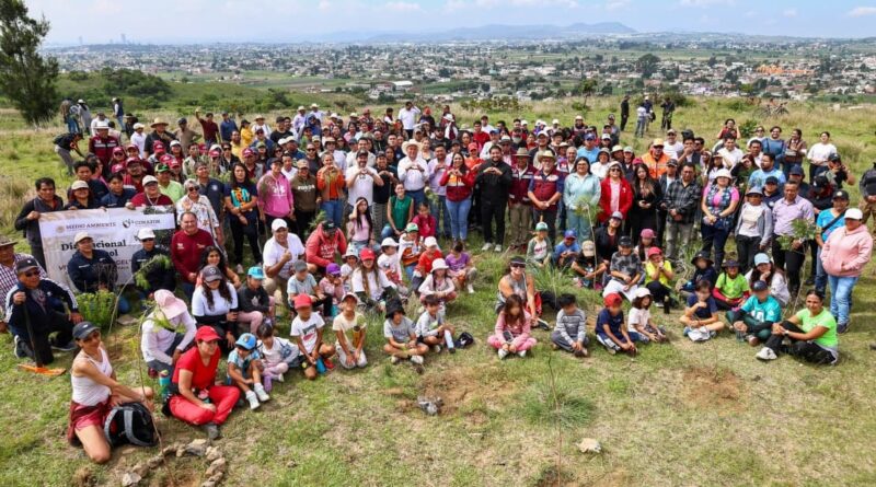 Impulsa Tonantzin Fernández acciones permanentes de reforestación en el Cerro Zapotecas