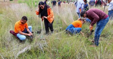 Mantiene Tonantzin Fernández reforestaciones constantes en el Cerro Zapotecas