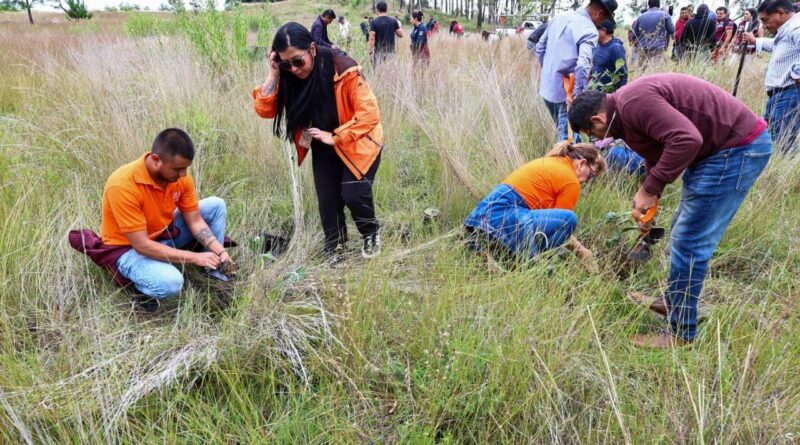 Mantiene Tonantzin Fernández reforestaciones constantes en el Cerro Zapotecas