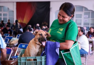 Promueven cultura de respeto y bienestar animal
